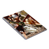 9つのメルカート三角形、ノートブック ノートブック (右側)