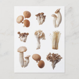 9つの茶色のキノコ ポストカード
