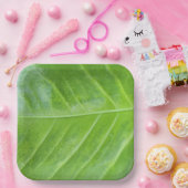 9インチスクエア紙プレートとエンチャントグリーン ペーパープレート (パーティー)