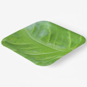 9インチスクエア紙プレートとエンチャントグリーン ペーパープレート (傾斜あり)