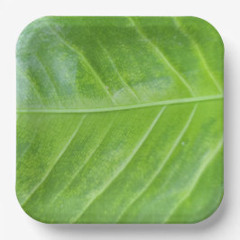 9インチスクエア紙プレートとエンチャントグリーン ペーパープレート