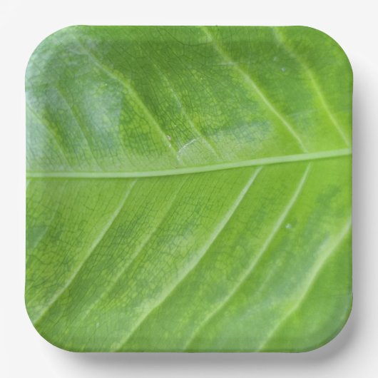 9インチスクエア紙プレートとエンチャントグリーン ペーパープレート (正面)