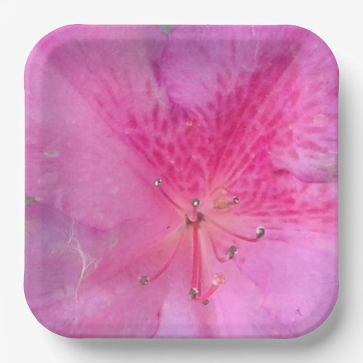 9インチスクエア ペーパープレート (正面)