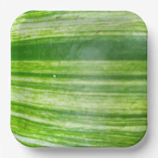 9インチナチュラルリーフデザインエレガントー ペーパープレート (正面)