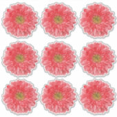 9コーラルガーベラデイジーフラワーキスカットシール シール (正面)