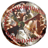 9メルカッツコラージュ、ソフトボール ソフトボール (正面左)