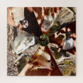 9メルカト三角形、ジグソーパズル ジグソーパズル (横)