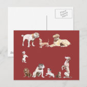 9匹の犬 ポストカード (正面/裏面)