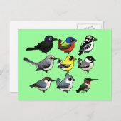 9南東USAバックヤードバード ポストカード (正面/裏面)