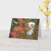 9月の朝 カード (黄色い花)