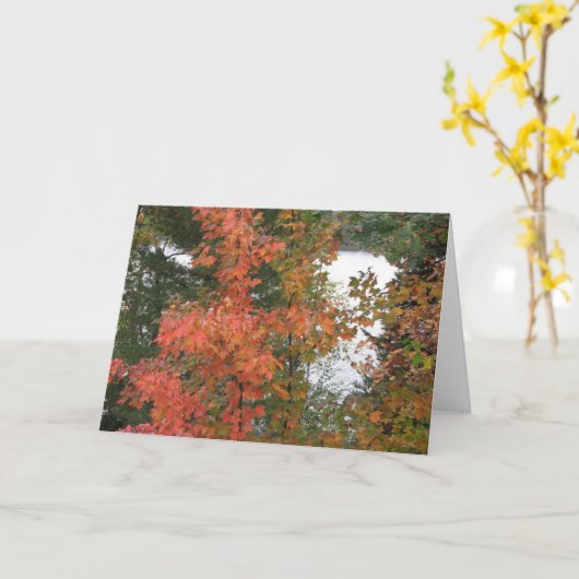 9月の朝 カード (黄色い花)