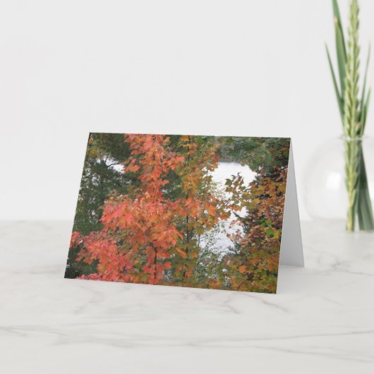 9月の朝 カード (正面)