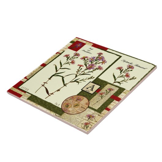 9月の花 タイル (側面)