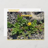 9月はがき ポストカード (正面/裏面)