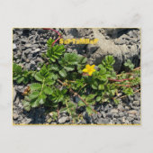 9月はがき ポストカード (正面)