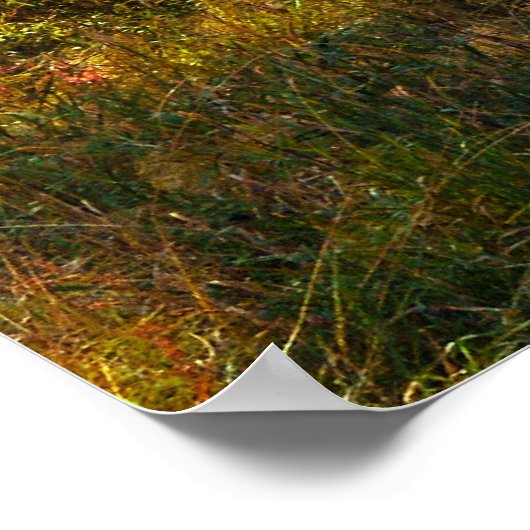 9月フォレスト ポスター (角)