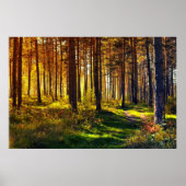 9月フォレスト ポスター (正面)