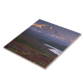 9月上旬にデナリ国立公園で撮影 タイル (側面)