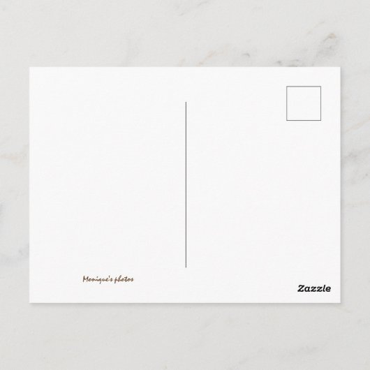 9月色 ポストカード (裏面)