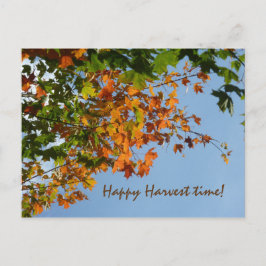 9月色 ポストカード