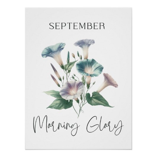 9月誕生月モーニンググローリーフローラ ポスター (正面)