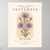 9月誕生花アスターのポスター ポスター (正面)