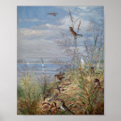 9月 | フィデリアブリッジ ポスター (正面)