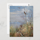 9月 | フィデリアブリッジ ポストカード (正面/裏面)