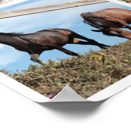 9枚の写真をアップロード ポスター (角)