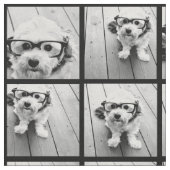 9枚の写真を使お気に入りの用 – 黒い背景 ファブリック (クローズアップ)