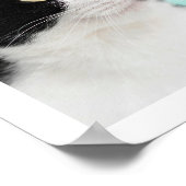 9枚の写真を飾る モダンなコラージュ 猫 犬 ポスター (角)