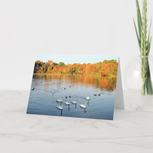 9羽 カード (正面)