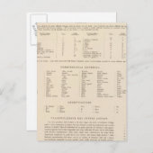 90レジェンドウエスタンアナトリアエーゲ諸島 ポストカード (正面/裏面)