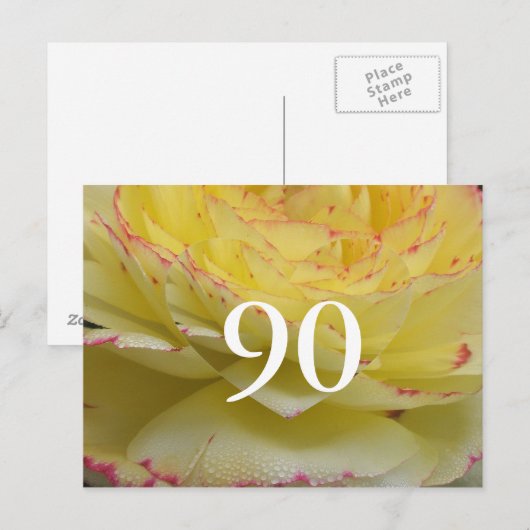 90誕生日 ポストカード (正面/裏面)