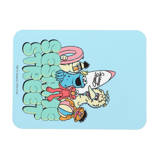 90'sセサミストリートヴィンテージサーフ マグネット (横)