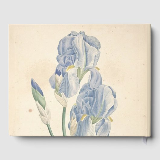 90thバースデーパーティアイリスカスタムズGuest Book ゲストブック (裏面)