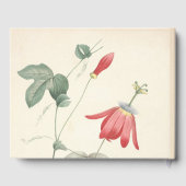 90thバースデーパーティーパッシフローラカスタムゲストブック ゲストブック (裏面)