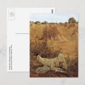 94度、陰に ポストカード (正面/裏面)