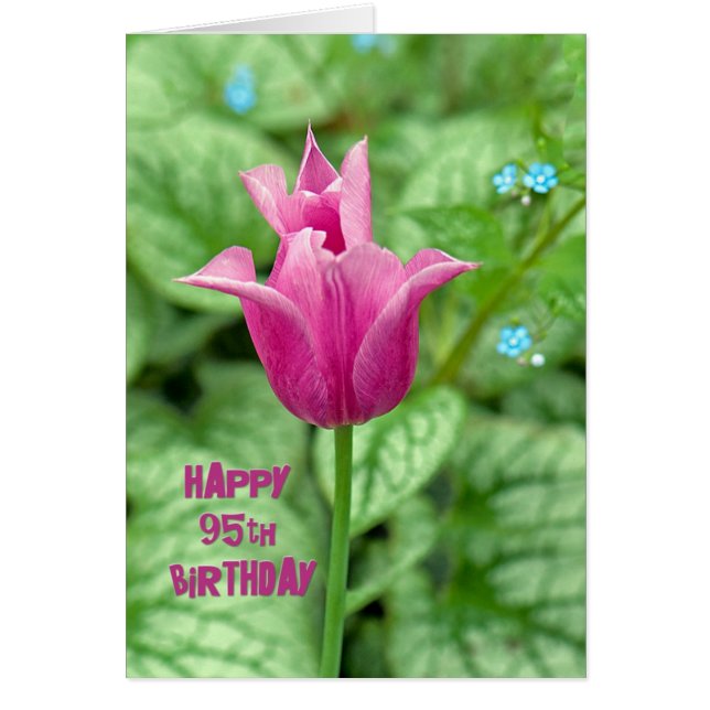 95th誕生日チューリップ (正面)