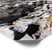 99 or 87 Switchbacks to Mt Whitney 2 ポスター (角)
