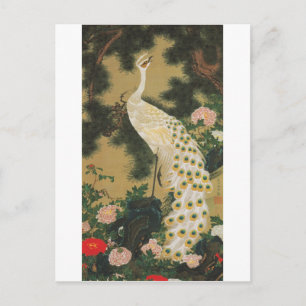 9. 老松孔雀図, 若冲 Old Pine-tree and Peacock, Jakuchu ポストカード