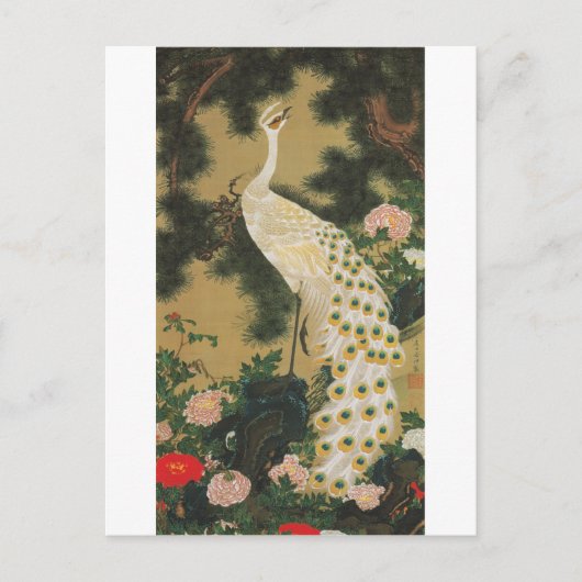 9. 老松孔雀図, 若冲 Old Pine-tree and Peacock, Jakuchu ポストカード (正面)