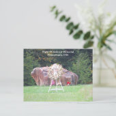 9/11便93国民記念はがき シーズンポストカード (スタンド正面)