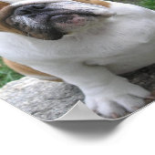 9-17-05 003 ポスター (角)