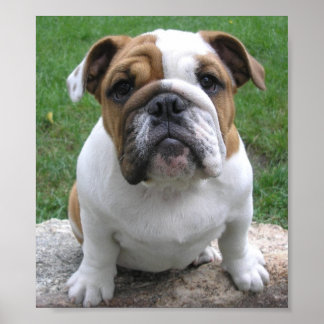 9-17-05 003 ポスター