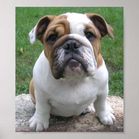 9-17-05 003 ポスター (正面)