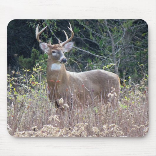 9"x 8"マウスパッド マウスパッド (正面)