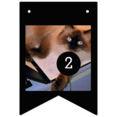 aで16のイメージとあなた自身の装飾を容易にして下さい バンティングフラッグ (第2の旗)