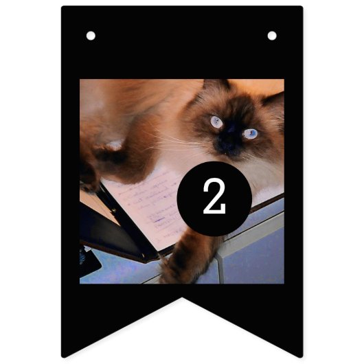 aで16のイメージとあなた自身の装飾を容易にして下さい バンティングフラッグ (第2の旗)