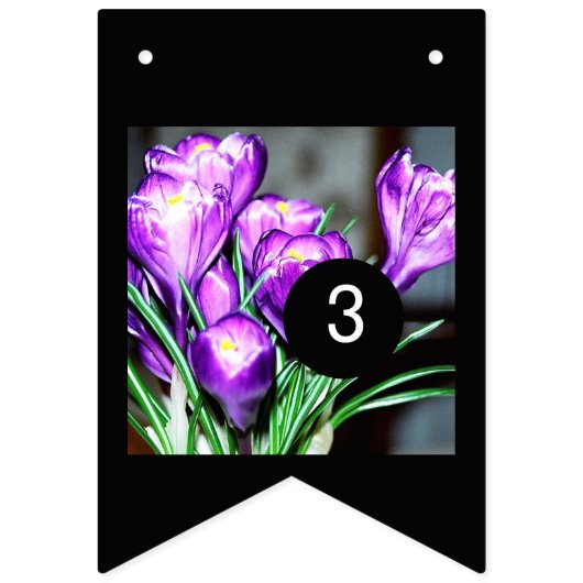 aで16のイメージとあなた自身の装飾を容易にして下さい バンティングフラッグ (第3の旗)